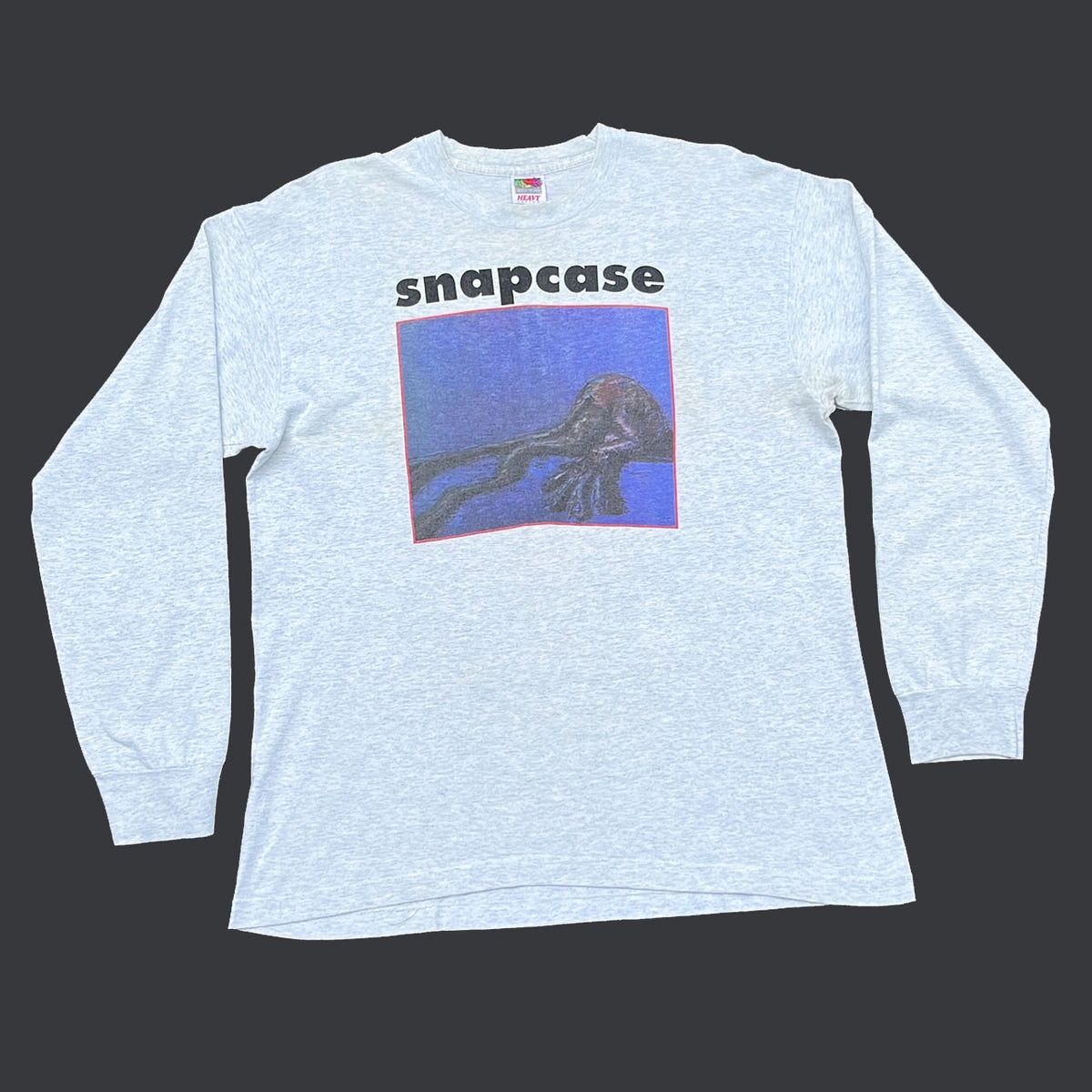 Snapcase lookinglasself Tシャツ XLサイズ グレー Snapcase lookinglasself Tシャツ XLサイズ グレー（Snapcase
