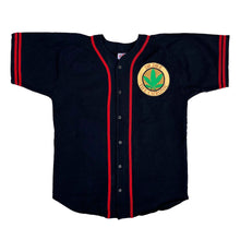 Load image into Gallery viewer, DR. DRE 'THE CHRONIC' '93 JERSEY