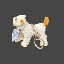 Load image into Gallery viewer, THERE'S SOMETHING ABOUT MARY '99 KEYCHAIN