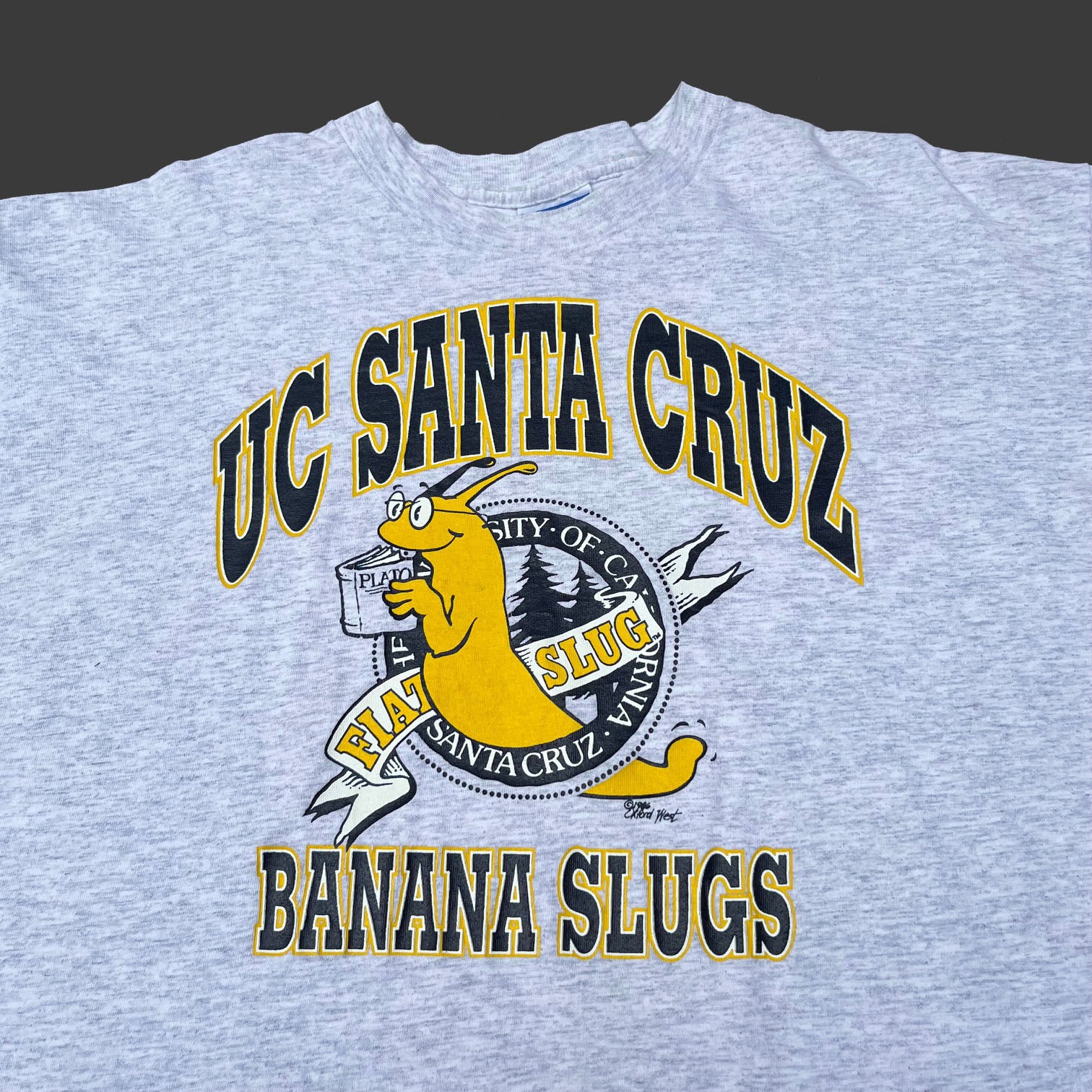 UC SANTA CRUZ 90 S T SHIRT Temple of Nostalgia